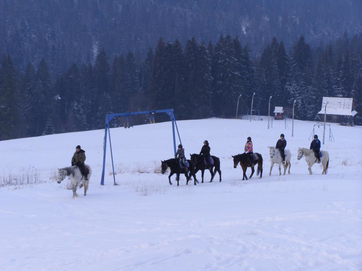 Проживание в семье Limba Буковина-Татшаньска-30