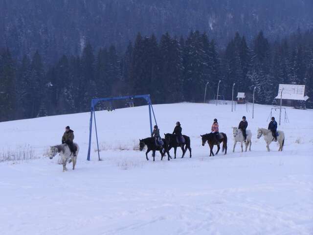 Проживание в семье Limba Буковина-Татшаньска-29